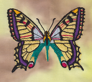 Butterfly-trial