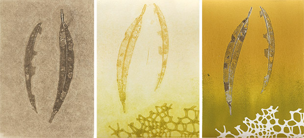 Monotype Experiments Monotypes and Monoprints – Tactual Textiles by Claire