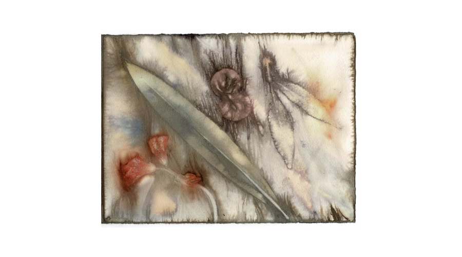 Eco printing on paper