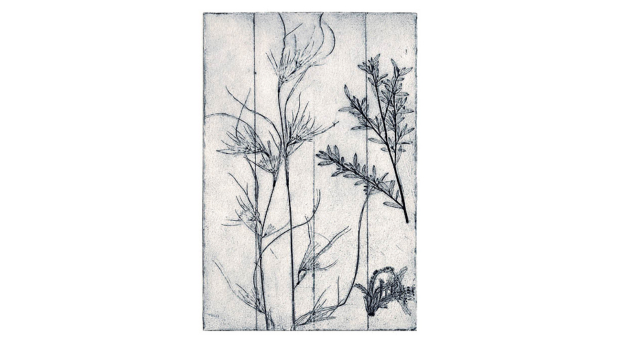 Aluminium Foil Collagraphs